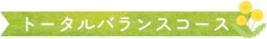 トータルバランスコース